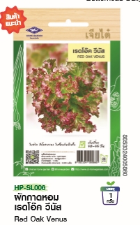 สลัดเรดโอ๊ควีนัสF1เจียไต๋*100